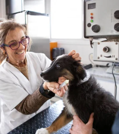 ¿Cuánto sale mantener a un perro en Argentina?