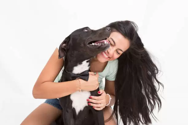 Esto sale cuidar a tu perro en Argentina.