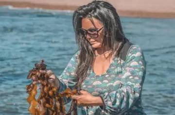 Algas invasoras: llegaron a la Argentina y ahora las hicieron comestibles