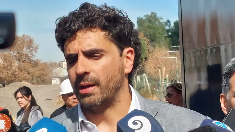 "Con un 20% de evasión, la idea es generar una igualdad, porque el que paga el pasaje se queja del que no paga" (N. Mema)