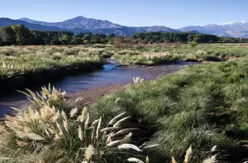 Contaminación en Mendoza: proponen una Ley para reconocer a la naturaleza como sujeto de derecho
