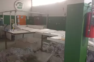 Desmantelan planta de papel y dejan pérdidas millonarias en Luján de Cuyo