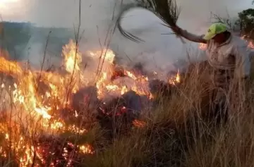 En el sur de Mendoza hay alarma por incendios que podrían ser intencionales