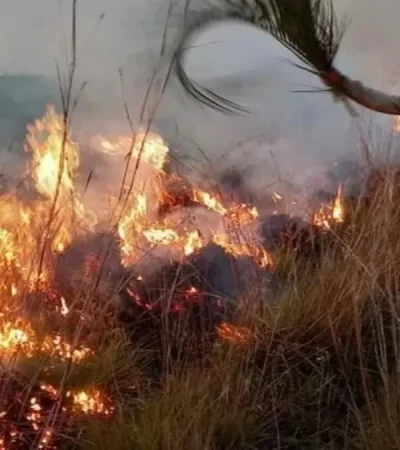 Imagen ilustrativa: archivo web