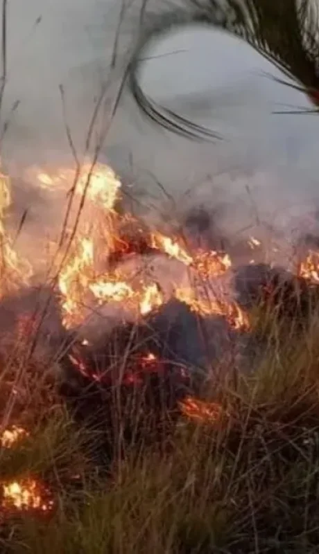 Imagen ilustrativa: archivo web