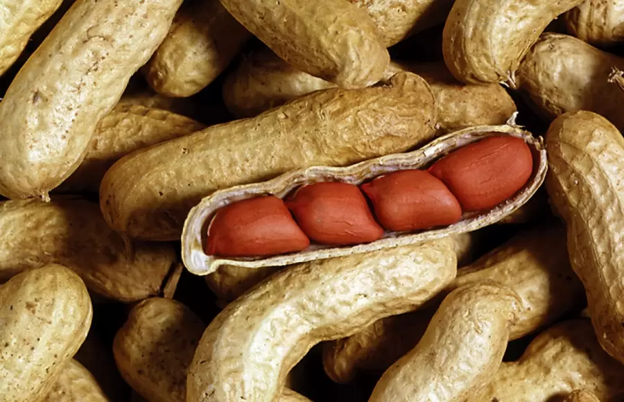 El valor de las exportaciones ascendió un 80%, y lo mismo ocurría a nivel ventas.