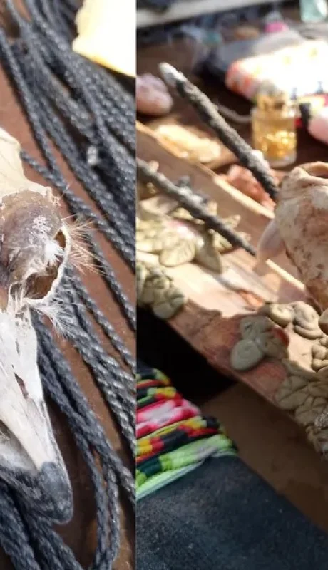 Restos de animales en artesanías./