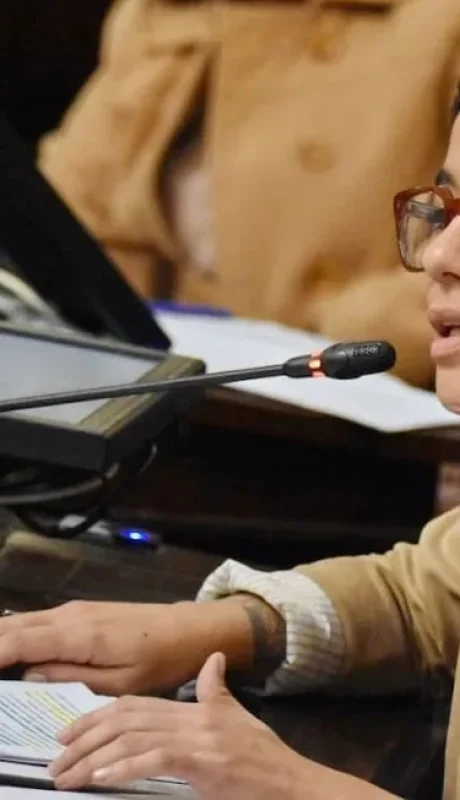 Diputada Sol Salinas.