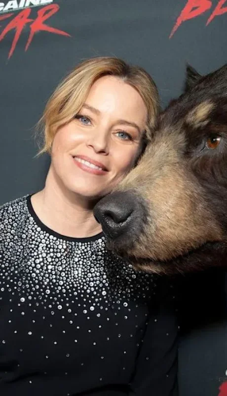 Elizabeth Banks dirige Oso intoxicado.