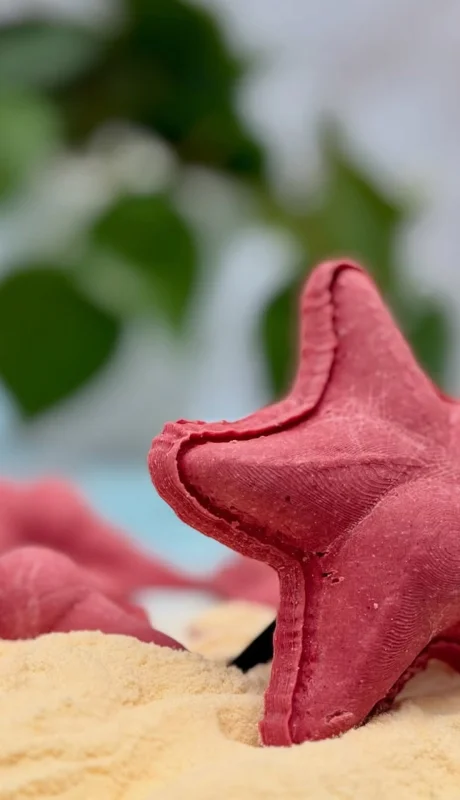 El sorrentino en forma de estrella, se volvió furor en las redes sociales.