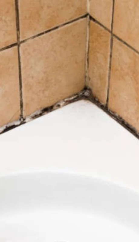 Con esta fórmula podrás dejar tu baño como nuevo.