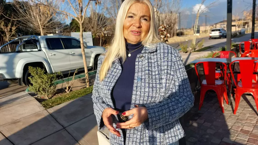 Vicepresidenta del PRO de Mendoza y Diputada provincial, Laura Balsells Miró.