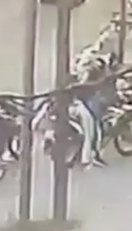 Imagen: captura de video