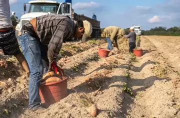 Las redadas de Trump afectaron la fuerza laboral en 1,2 millones de trabajadores