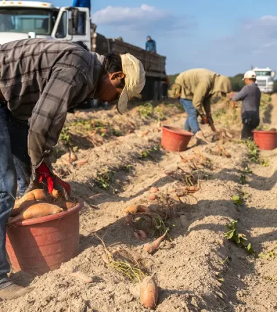 La fuerza de trabajo de inmigrantes se ha vuelto fundamental en varios sectores de la economía estadounidense y preocupa su disminución.