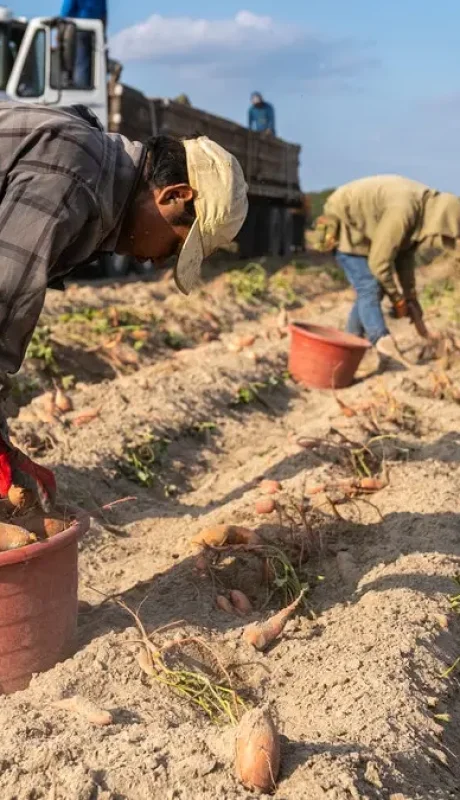 La fuerza de trabajo de inmigrantes se ha vuelto fundamental en varios sectores de la economía estadounidense y preocupa su disminución.