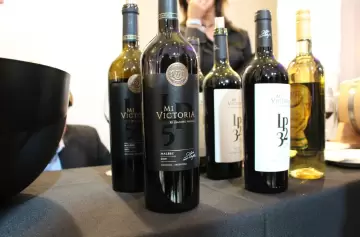 Vanesa Paredes: "El vino nació como un juego y hoy es un proyecto familiar"