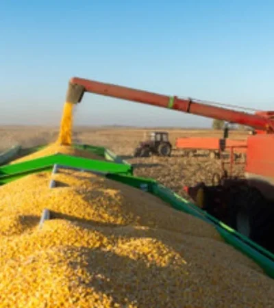 Imagen ilustrativa (web)