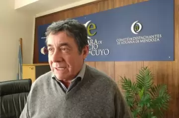 Presión impositiva y aranceles de EEUU, contra la competitividad del vino cuyano