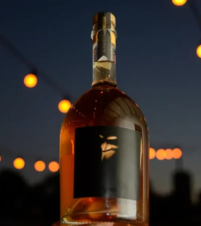 Una propuesta innovadora que llamo la atención de todos en la Wine Expo.