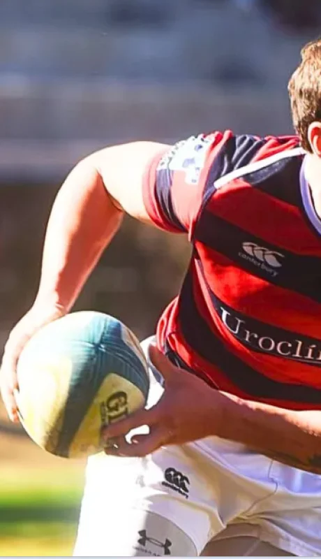 gonzabertraonu-lostordos