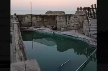 Comunicado oficial de Aquarium Mar del Plata sobre el estado de los delfines