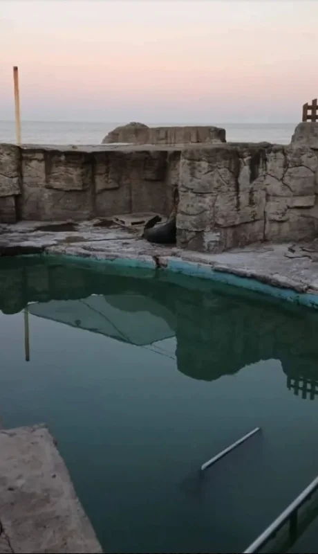 Abandono total del ex  Aquarium Mar del Plata.