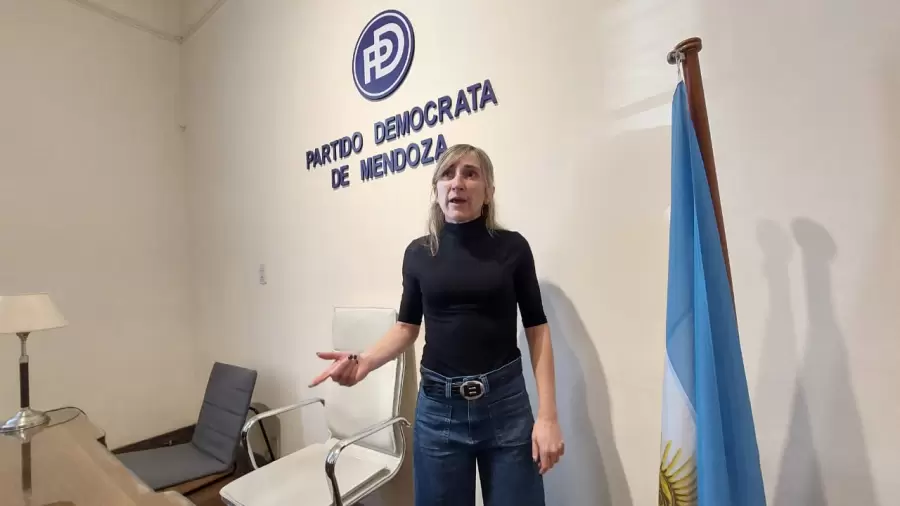 Diputada Nacional Mercedes Llano (PD).