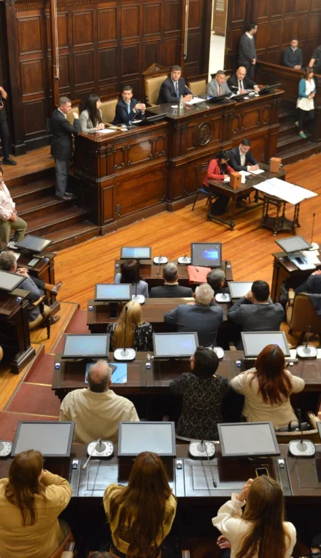 Sesión del Senado de Mendoza