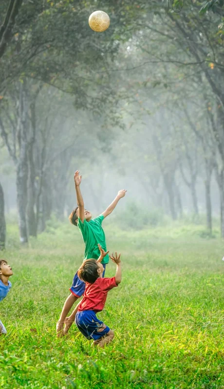 Este 17 de agosto las ventas fueron superiores al año pasado./