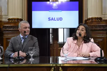 Senado: la oposición avanza con la emergencia pediátrica y desafía al Gobierno