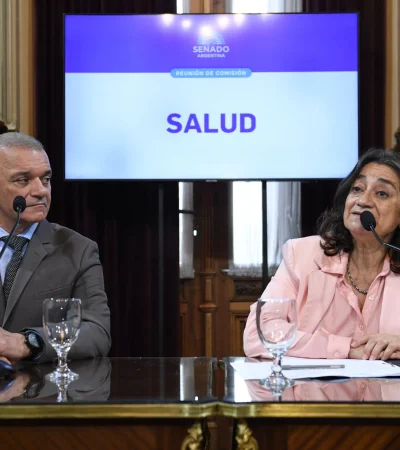 La legisladora kirchnerista y titular de la Comisión de Salud, Lucia Corpacci, junto al vice Carlos Arce.