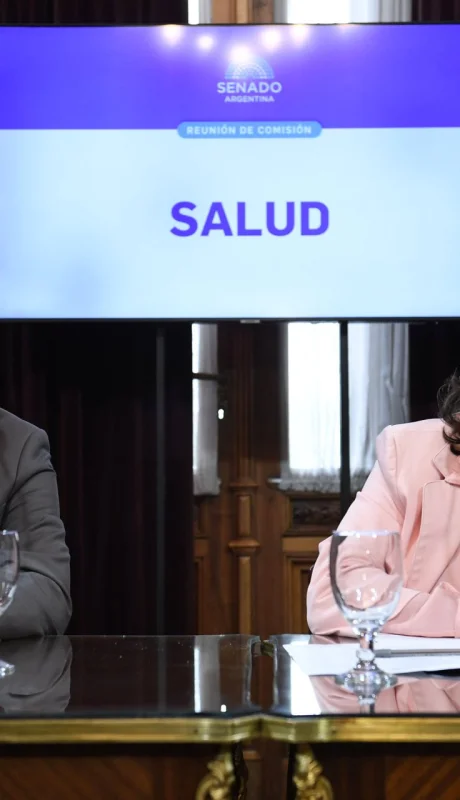 La legisladora kirchnerista y titular de la Comisión de Salud, Lucia Corpacci, junto al vice Carlos Arce.