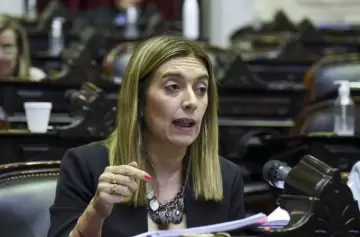Diputada Danya Tavela: "Faltan referentes para un proceso de oposición razonable"