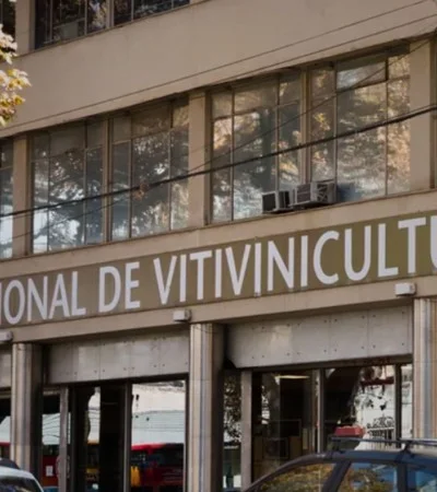 Instituto Nacional de Vitivinicultura (INV).