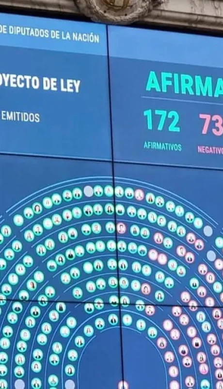 Votación en Diputados.