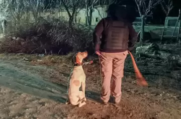 Fito, el héroe policial de cuatro patas que resolvió robos rurales en el Este