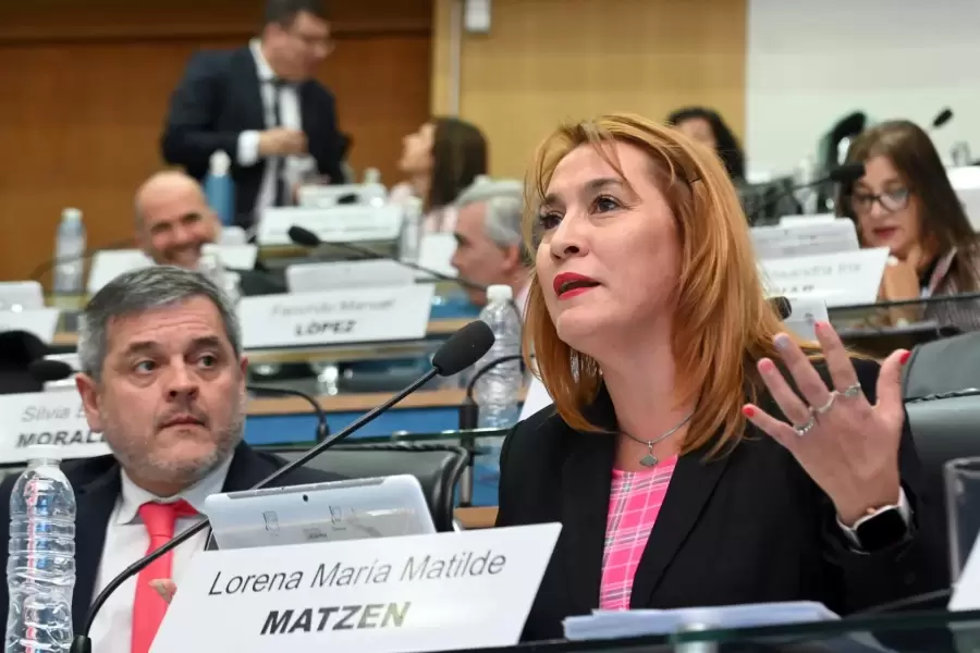 Diputada Lorena Matzen