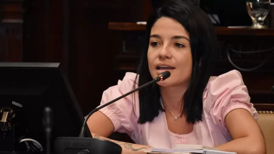 La autora del proyecto es la diputada Sol Salinas, de Unión PRO. (Foto: archivo web)