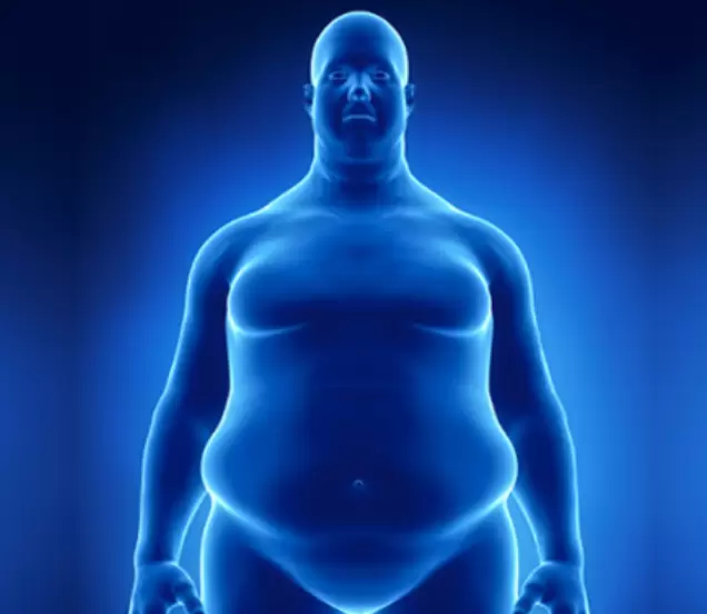 Una de las consecuencias menos conocidas de la obesidad en los seres humanos son sus efectos nocivos sobre la cognición.