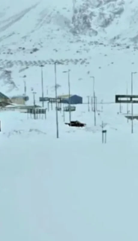 El paso Cristo Redentor está bañado de blanco