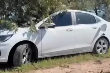 Encontraron una pareja sin vida dentro de un auto baleado bajo un árbol
