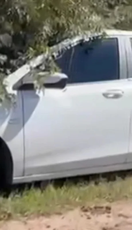 El auto en el que fue encontrada la pareja sin vida/ Fuente: NA