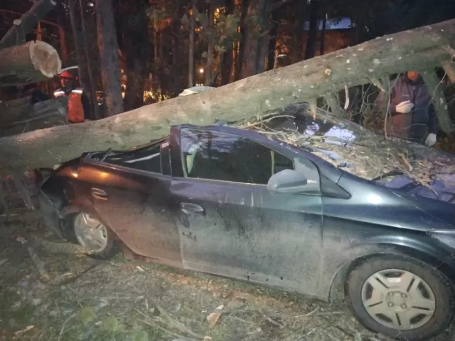 Temporal de viento en Bariloche.
