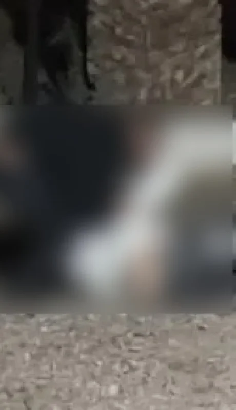 Captura de pantalla de video