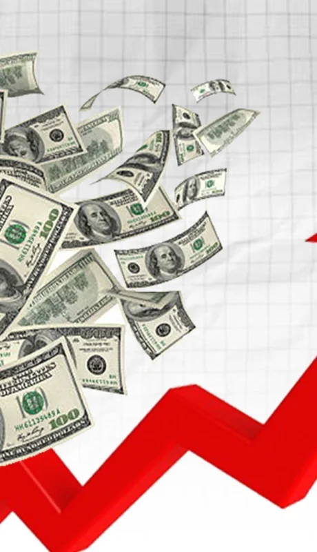 El dólar subió y cayeron las acciones argentinas/