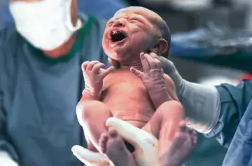 Mendoza: propuesta legislativa inédita para proteger a los niños por nacer