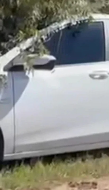 El automóvil donde hallaron dos cuerpos. (Foto: web)