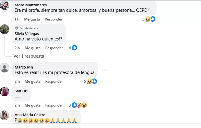 captura de pantalla 2025-08-26 163711