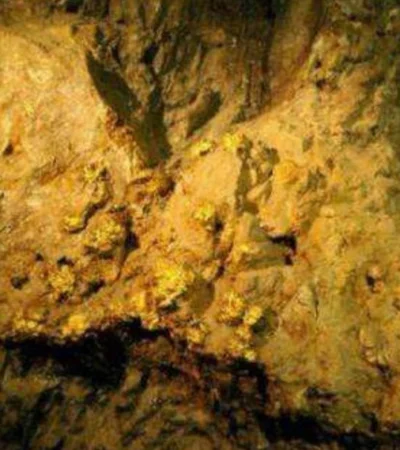China descubrió un yacimiento histórico de oro